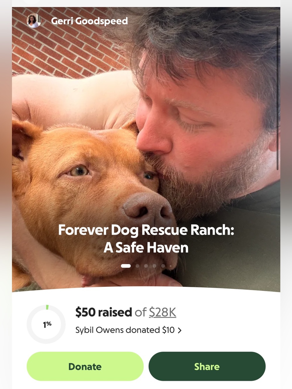 Boho for Besties Forever Dog Rescue Ranch - Picture 4 of 11
